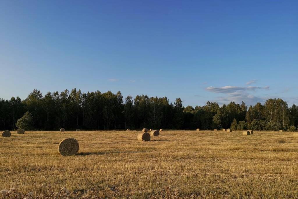 Parila Sauna House Kültér fotó